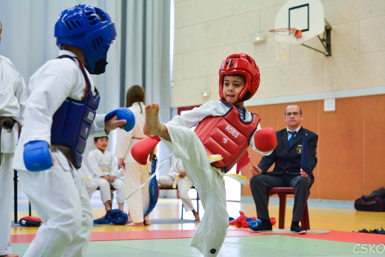 samourai_2013-447.jpg