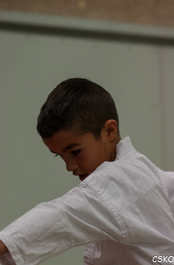 DSC_1795.jpg