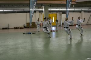 FA15-62.jpg