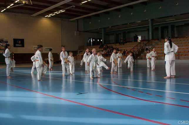 CSKO Karaté