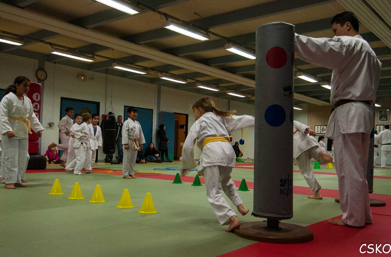 CSKO Karaté