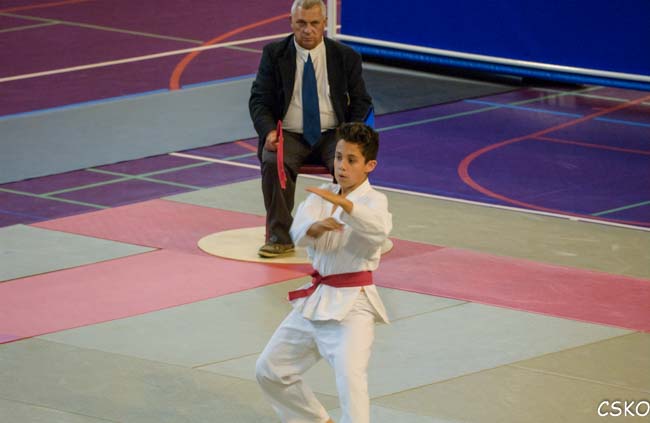 CSKO Karaté