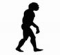 Evolution