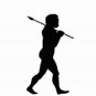 Evolution