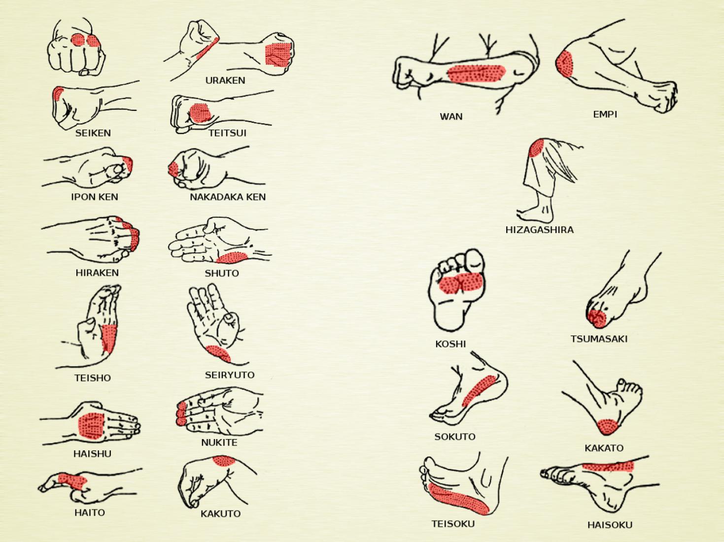 Points de contact
